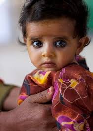 Petit Cabinet de Curiosites