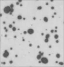 • we define the characteristic scale of a blob as the scale that produces peak of laplacian response in the blob center. Opencv Blob Detector Using Laplacian Stack Overflow