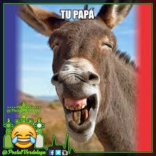 Check spelling or type a new query. Postal Verdolaga On Twitter Se Autoproclaman El Papa De Todos Los Viola El Tolima Ahora Dicen Que Fue Para J0der A Nacional Xd Estrelladenavidad Ligaaguila Fpc Cuadrangulara Ligaaguilaxwin Laligaxrcn Celebralocurramba Burrior