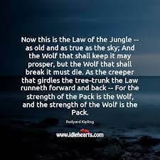 As the creeper that girdles the tree trunk, the law runneth forward and back; Now This Is The Law Of The Jungle As Old And Idlehearts