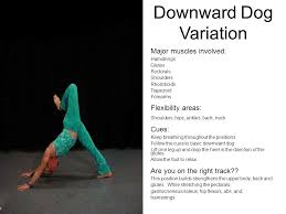 Downward facing dog is one of the most recognizable poses of western style yoga. Half Moon Major Muscles Involved External Obliques Teres Maximus Infraspinate Muscles Latissimus Dorsi Back Extensions Glutes Quadriceps Gastrocnemius Ppt Download