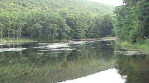 This is due to bridge replacement work over big poe creek at the park entrance. Evening Falls Over Poe Valley State Park Youtube