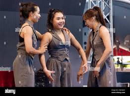 Yi chun lan hi-res stock photography and images