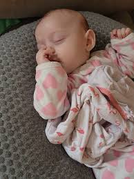 Free 22 cal formula in Omro?