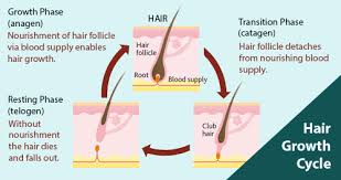Spa Epil What Is Electrolysis Laser Hair Removal Vs