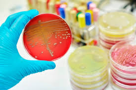 Parintii sa caute dreptatea cand exista ceva clar. Stafilococul Auriu Qbebe Ro