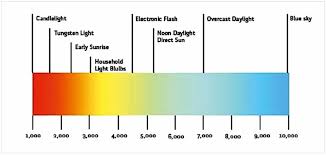 Jul 22, 2016 · obtain full grow light spectrum control and plant growth. Can You Use Regular Led Lights For Grow Lights