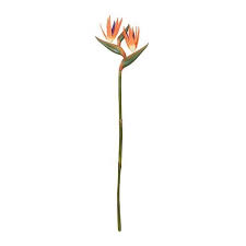 Bird Of Paradise Tropical Flower Realistic 43 Orange Purple Bird Of Paradise Tattoo Paradise Tattoo Birds Of Paradise
