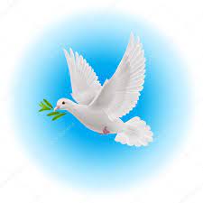 Ver más ideas sobre fotos animadas de amor, fotos animadas, paloma de la paz. Pin On Biblia