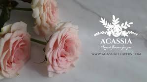Maybe you would like to learn more about one of these? Acassia Wholesale Flowers Home Facebook