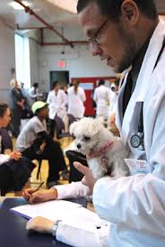 At pet clinic our dynamic team strives to provide the best veterinary care in a friendly and. Pet Clinic To Offer Services In Albany March 30 Cornell Chronicle