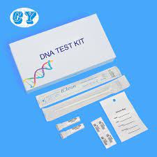 Pin On Dna Test Kit