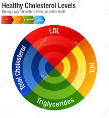 An Image Of A Total Blood Cholesterol Hdl Ldl Triglycerides Chart