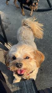 Kim Loux's Instagram, Twitter & Facebook