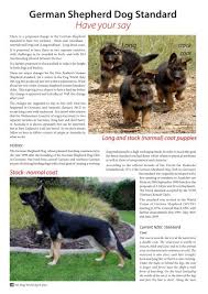 Whippet pups pets » dogs & puppies hamilton, waikato. German Shepherd Dog Standard Have Your Say New Zealand