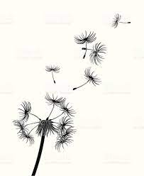 Vector Illustration Of A Single Dandelion Flower With Its Whispy Dandelion Tattoo Design Dandelion Art Seed Art
