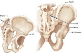 Psis semarang seite auf flashscore.de bietet liveergebnisse, resultate, tabellen und spielinformationen (tore, rote karten,.). Pelvic Fixation Sciencedirect
