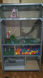 Well Look At That A Cage Made Out Of A Inexpensive Metal Shelving Unit And Hardware Cloth Ferret Cage Rat Cage Rat Cage Accessories