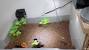 Diy Mini Pond