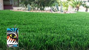 I do a 3,000+ hour review on my scag turf tiger!*please subscribe to the channel for more!•follow us on instagram: Why Tigerturf Artificial Grass Products Are Superior Oc Turf Putting Greens