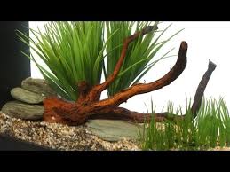 Though small in stature, fluval spec is big on features. Fluval Spec V Aquarium 5 Gallon Black Desktop Glass Aquarium Ebay