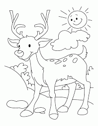 New hunting, fishing, and wildlife coloring book. 9 Pics Of Deer Hunting Coloring Pages Deer Hunting Coloring Coloring Home