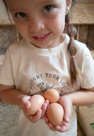 Dyersville farm focused