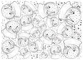 Hand Drawn Of Lovely Christmas Snow Globe Background Drawing By Iam Nee Best quality, free unlimited download. hand drawn of lovely christmas snow globe background by iam nee