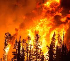 (6)imdb 7.01 h 30 min20117+. Beshear Urges Caution As Wildfire Hazard Season Begins Oct 1 Kentucky Outdoor Burning Law In Place Nkytribune