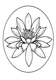 Free, printable coloring pages for adults that are not only fun but extremely relaxing. Coloring Pages Water Lily Coloring Page For Kids