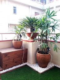 Best plants for balcony gardening. 6 Mistakes To Avoid In Your Balcony Garden