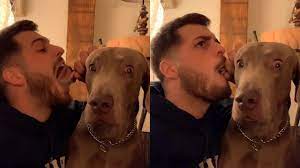 Dog Looks Visibly Petrified After Man Pretends To Eat His Ear Youtube
