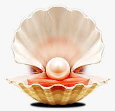 Pngtree provides millions of free png, vectors, cliparts and blue pearl clam shells. Pearl Shell Pearl Clipart Pearl Shell Png Transparent Clipart Image And Psd File For Free Download Fish Wall Art Seashells Photography Abstract Wallpaper Backgrounds