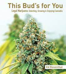 We would like to show you a description here but the site won't allow us. Amazon Com This Bud S For You Legal Marijuana Selecting Growing Enjoying Cannabis 9781936807307 Rosenthal Ed Books