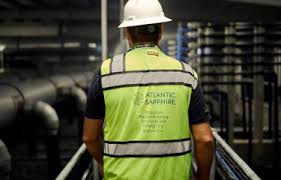 We are passionate about our work because we love our oceans, our planet, and the people that make it our home. Atlantic Sapphire Stock Price Plunges After Release Of Financial Report