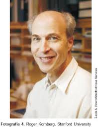 Premios nobel en Fisiología o Medicina y Química, año 2006.: Una nueva  dimensión del ARN en la regulación de la expresión genética y como  herramienta experimental y terapéutica