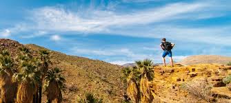 Self storage in palm desert. Palm Springs Ca Boat Rv Auto Storage Storquest Self Storage