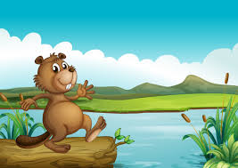 While a beaver's shyness and intelligence make it difficult to trap, it is entirely possible to use live trapping and relocation as a beaver control method. A Beaver Above A Floating Wood 414717 Vector Art At Vecteezy