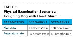 Can i treat my dogs heartworms at home? Heart Failure In Dogs 6 Practical Tips From Veterinary Cardiologists