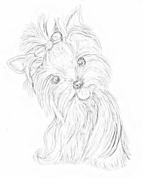 Here are some free printable yorkie coloring pages. Pin On Bijoux De Femmes