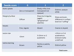 Image result for Colposcopy Findings