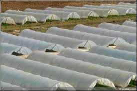 Ce salon international ouvre ses portes tous les sima simagena à villepinte, salon de l'agriculture. Implementation Of Agrophotovoltaics Techno Economic Analysis Of The Price Performance Ratio And Its Policy Implications Sciencedirect