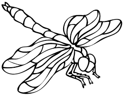 Here are some free dragonfly coloring pages for you to print out. Dragonfly Insect Coloring Pages Coloring Pages Printable Coloring Pages