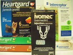 Ivermectin Is Toxic To Dogs Pet Poison Helpline