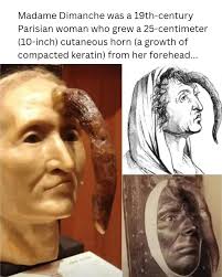 The Lion of Gripsholm Castle (from 18th century Sweden) is considered one  of the worst examples of taxidermy. In 1731, King Frederick I of Sweden was  gifted a lion from the Bey