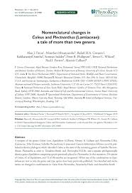 Image result for Plectranthus chimanimanensis