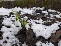 Martisorul trebuie sarbatorit cu fast, asa ca am pregatit cele mai frumoase felicitari de martisor, cu care sa infrumusetezi ziua alege o felicitare din colectie si sarbatoreste martisorul impreuna cu divahair! Cele Mai Frumoase Mesaje De 1 Martie Trimite Si Tu Un Mesaj O Felicitare Un Sms De MÄƒrÅ£isor Abrudinfo Ro