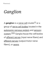 Borrowed from latin, borrowed from greek ganglíon tumor on a tendon, mass of nerve tissue (thought to resemble such tumors), of obscure origin. Ganglion Ganglion Autonomic Nervous System