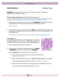 Cell division gizmo answer key gizmo answer key cell division. Explore Learning Cell Division Gizmo