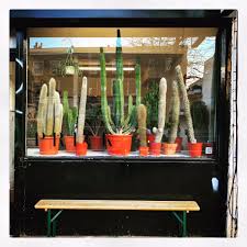 Cactus jungle's plant encyclopedia this is not an availability. Fuchsia Dunlop On Twitter Passed This Very Cool Shop On Kingsland Road They Sell Only Cacti And Succulents Name Of The Shop Is Prick London Dalston Https T Co Ezl17do1da